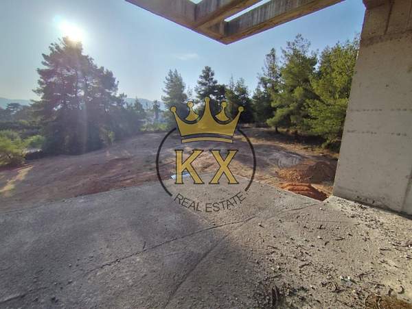 תמונת דיוניסוס, אתונה למכירה (0)