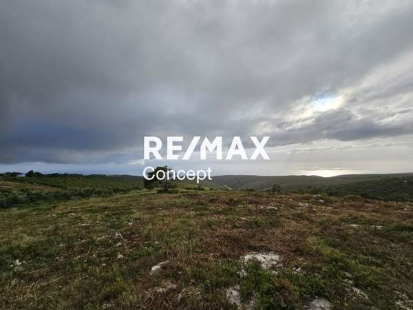 תמונת זקינתוס למכירה (1)