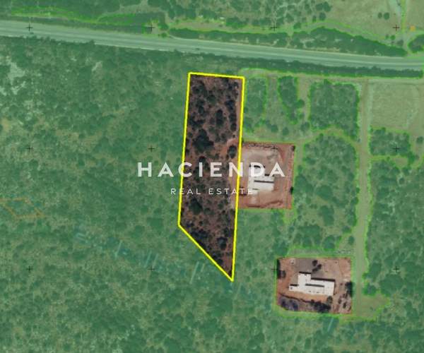 תמונת מילופוטמוס, כרתים למכירה (0)