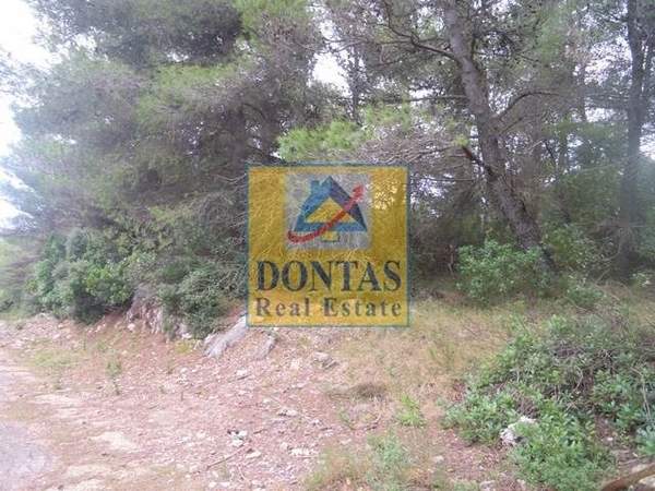 תמונת אורופוס, אתונה למכירה (0)