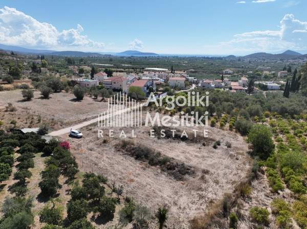 תמונת נאפפליו, פלופונס למכירה (1)