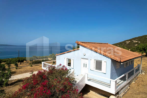 תמונת ארמיונידה למכירה