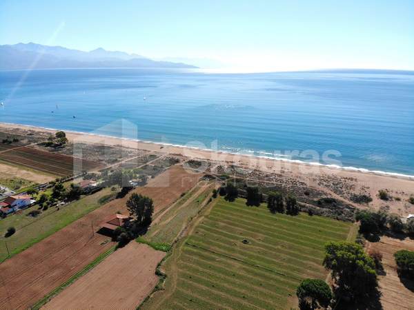 תמונת מסיני למכירה (1)