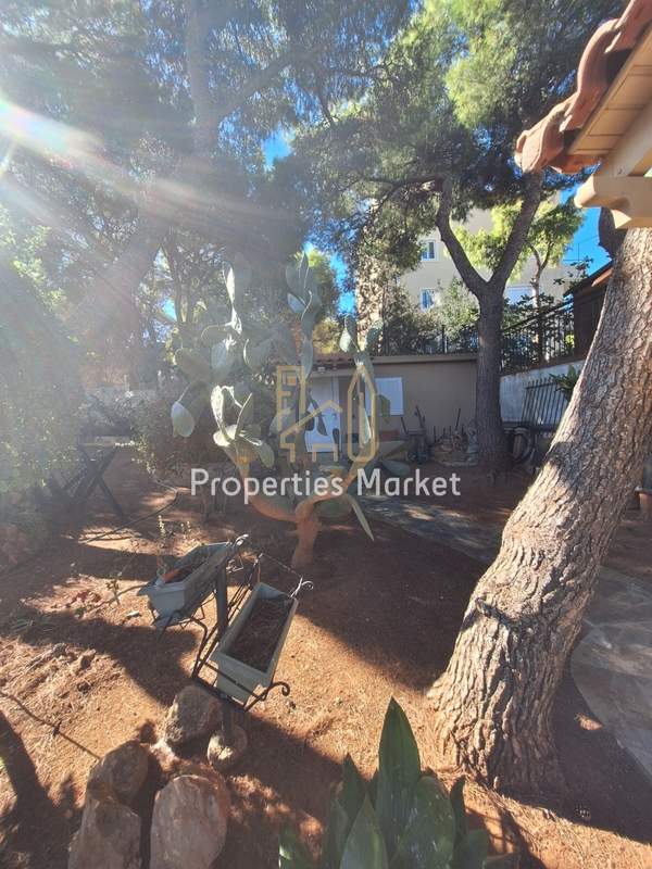 תמונת סרוניקוס, אתונה למכירה (0)