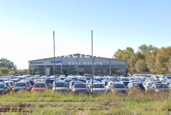 תמונת קאלמטה למכירה (0)