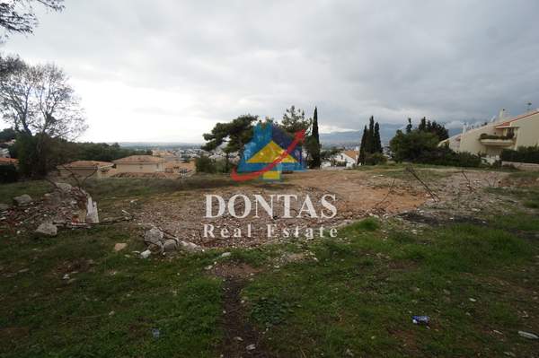 תמונת נאה אריטאריה, קיפיסיה למכירה (1)