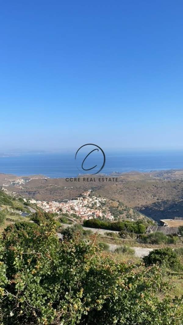 תמונת קיאה למכירה (0)