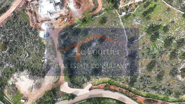 תמונת אפוקורנס, כרתים למכירה (1)