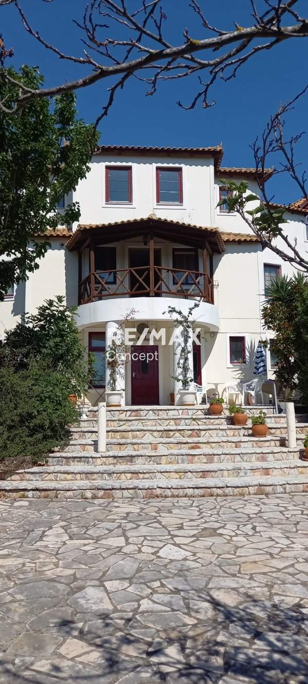 תמונת זקינתוס למכירה (0)