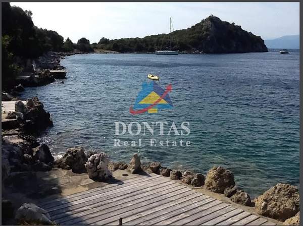 תמונת לפקדה למכירה (0)