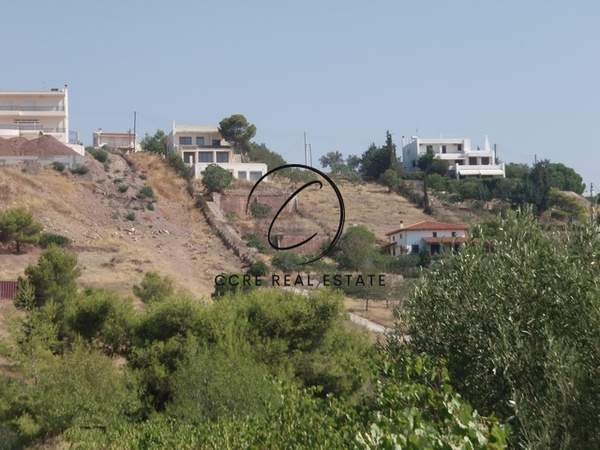 תמונת סרוניקוס למכירה (0)