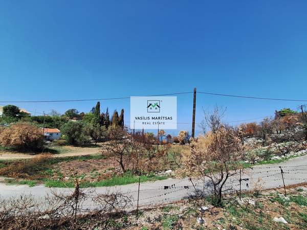 תמונת קורפו למכירה (0)