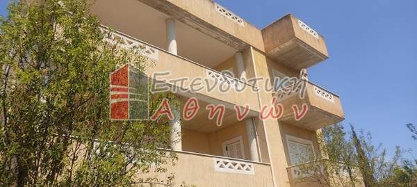 תמונת אורופוס, אתונה למכירה (0)