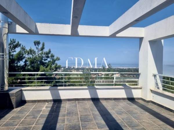 תמונת פאיליה - חורטיאטיס, סלוניקי למכירה (1)