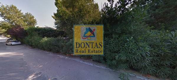 תמונת קיפיסיה למכירה (0)