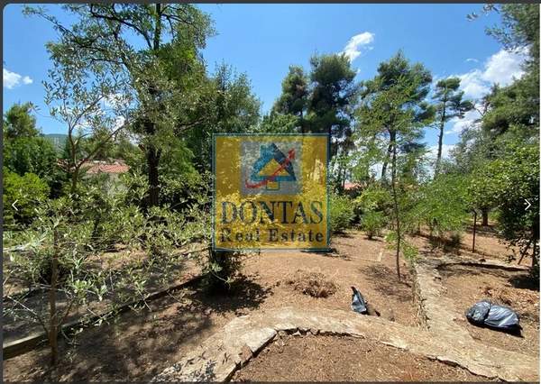 תמונת קיפיסיה, אתונה למכירה (1)