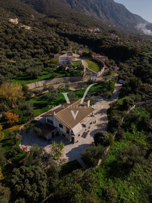 תמונת קאלמטה, פלופונס למכירה (0)