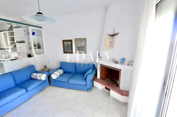 תמונת קסנדרה למכירה (0)