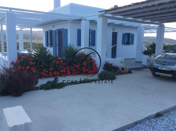 תמונת פארוס למכירה (1)