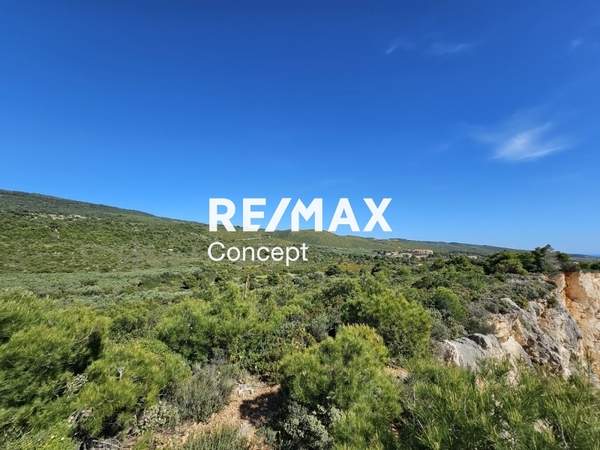 תמונת זקינתוס למכירה (1)