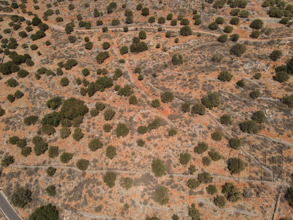 תמונת אגיוס ניקולאוס , כרתים למכירה (1)