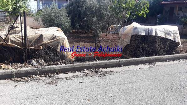 תמונת איגאליאה, פלופונס למכירה (0)