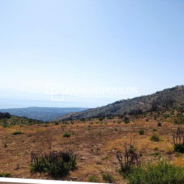 תמונת מרתון למכירה (0)