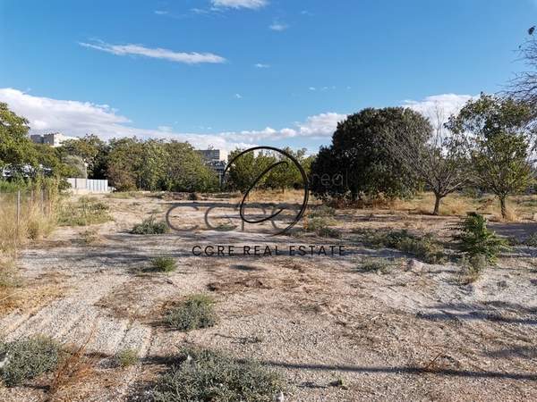 תמונת טברוס למכירה (0)