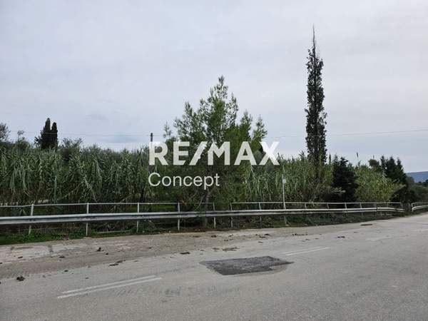 תמונת זקינתוס למכירה (1)