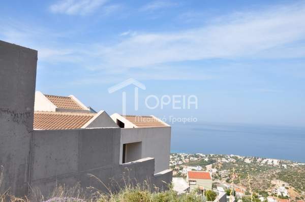 תמונת סרוניקוס למכירה (1)