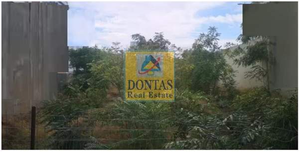 תמונת מוסקטו, אתונה למכירה (1)