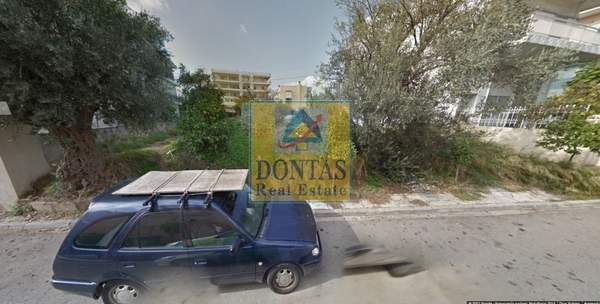 תמונת מטמורפוסי, אתונה למכירה (0)