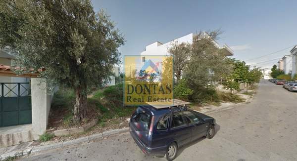 תמונת מטמורפוסי, אתונה למכירה (1)