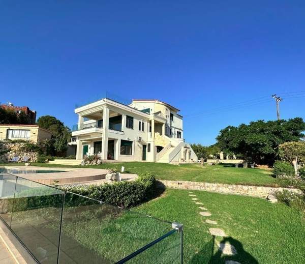 תמונת קואנומפידיאנה, חאניה למכירה (0)