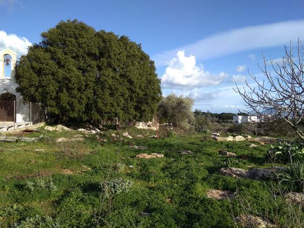 תמונת בסיס ימי כרתים, חאניה למכירה (1)