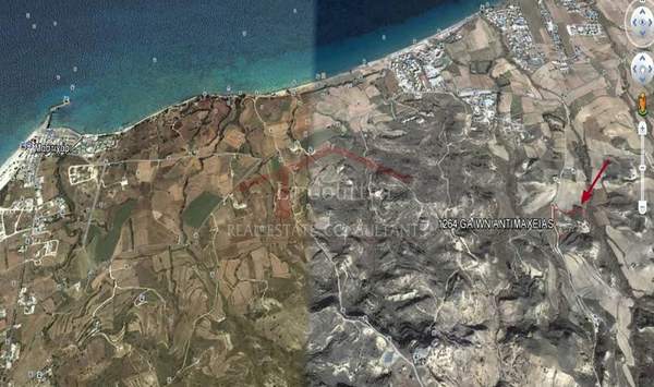 תמונת קוס, הדודקאנסיים למכירה (1)