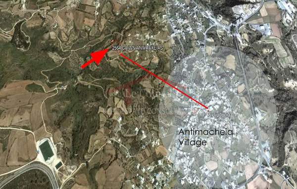 תמונת קוס, הדודקאנסיים למכירה (0)