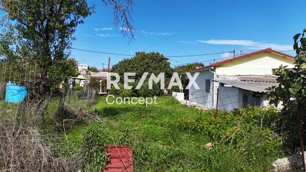 תמונת זקינתוס למכירה (1)