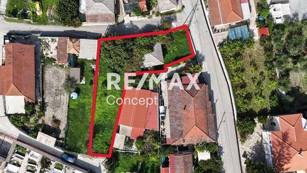 תמונת זקינתוס למכירה (0)