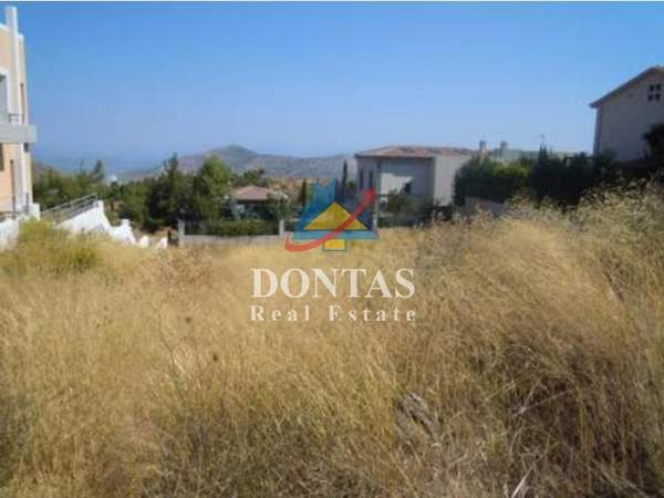 תמונת דיוניסוס, אתונה למכירה (0)