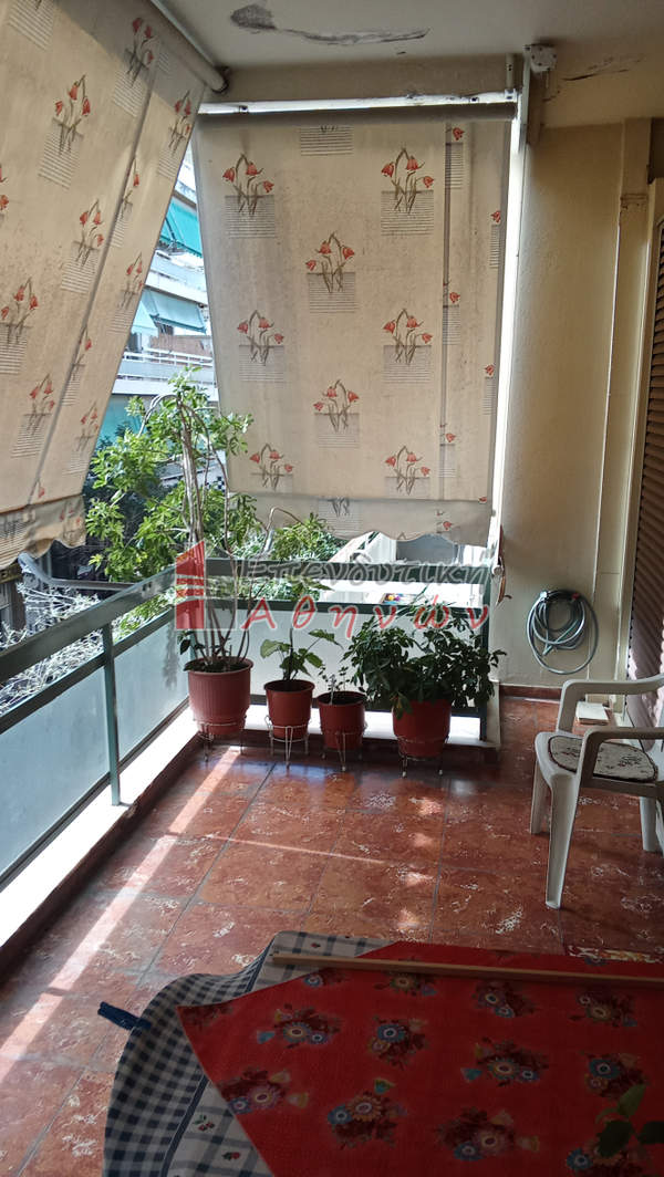 תמונת קליתיאה למכירה (0)