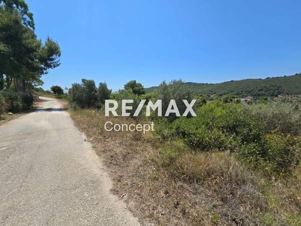 תמונת זקינתוס למכירה (1)