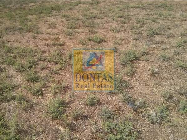 תמונת מרוסי, אתונה למכירה (0)