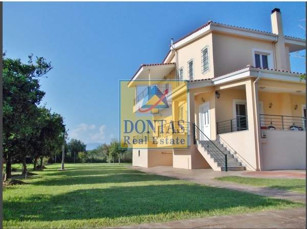 תמונת איגאליאה למכירה (1)