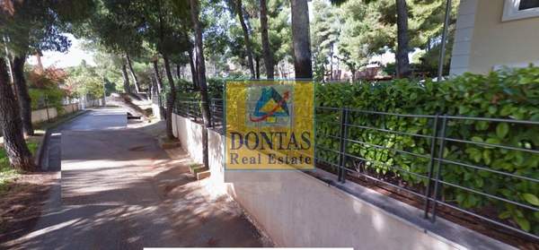 תמונת פאנטלי, אתונה למכירה (0)