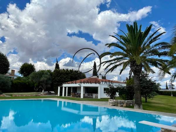 תמונת מרקו פולו, אתונה למכירה (1)