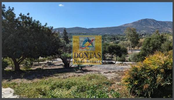 תמונת לאבראוטיקי, אתונה למכירה (0)