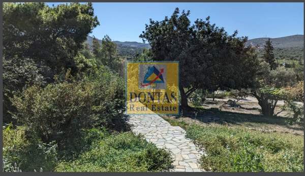 תמונת לאבראוטיקי, אתונה למכירה (1)