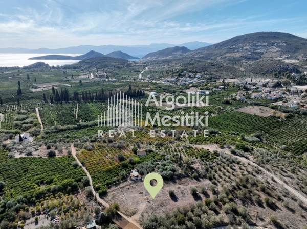 תמונת נאפפליו, פלופונס למכירה (0)