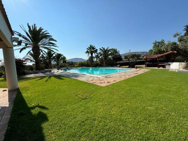 תמונת מרקו פולו, אתונה למכירה (0)